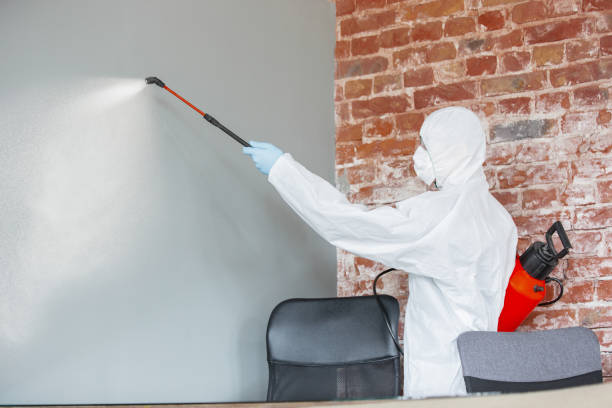 Best Mold-Related Health Consultation  in Coldstream, OH