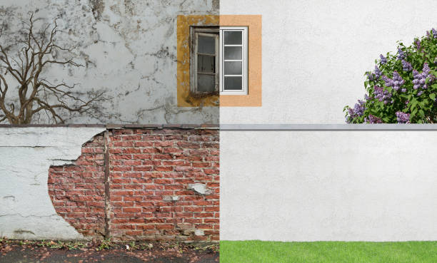 Best Comprehensive Air Testing for Mold Contaminants  in Coldstream, OH
