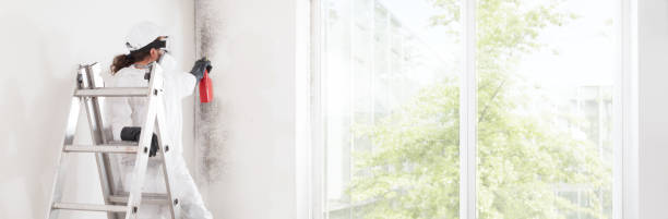 Mold Documentation for Insurance Claims in Coldstream, OH