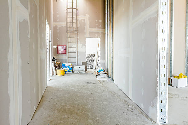 Coldstream, OH Mold Removal Company